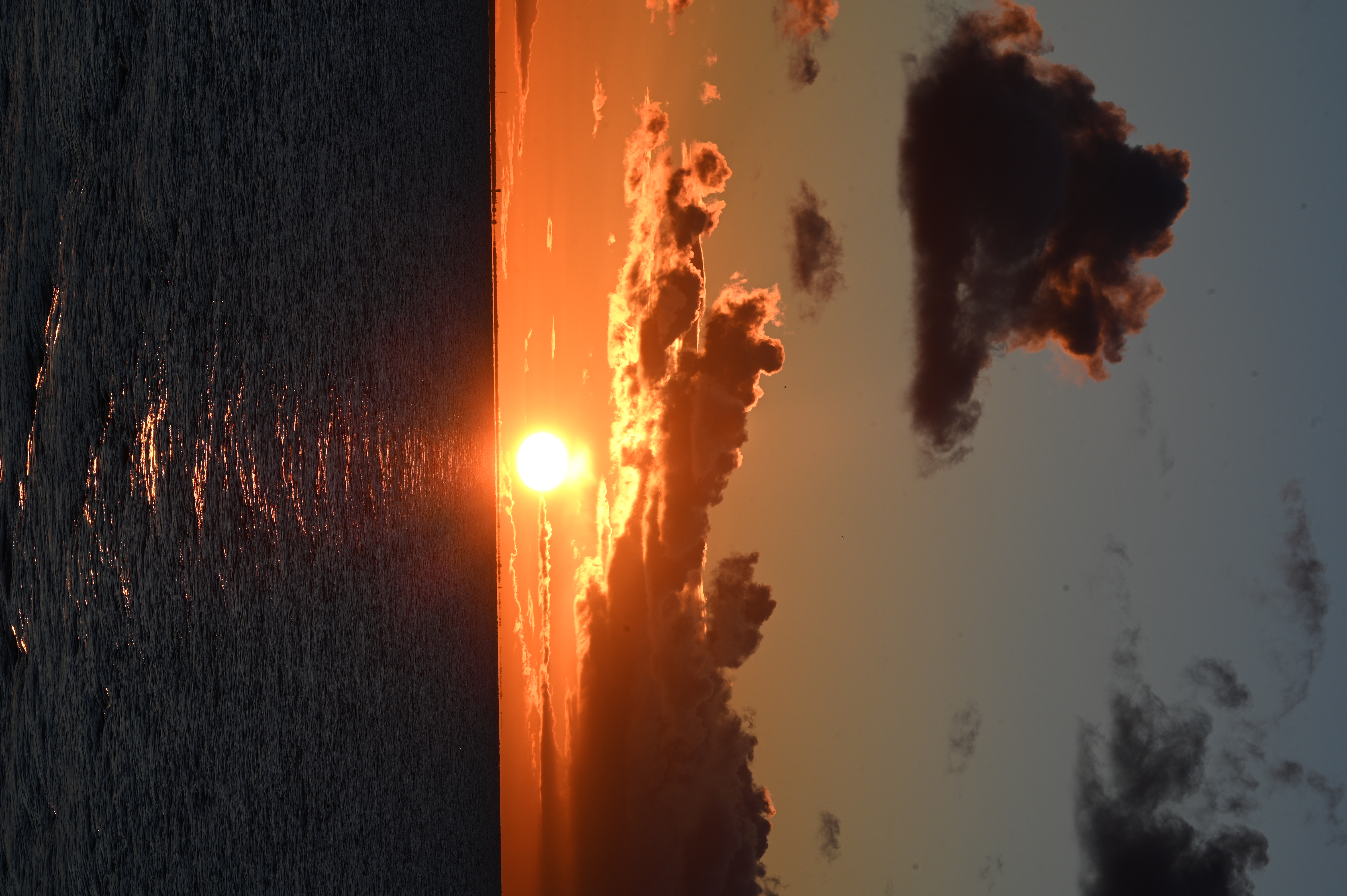 2025/10/18 - walk/DSC_0444.JPG